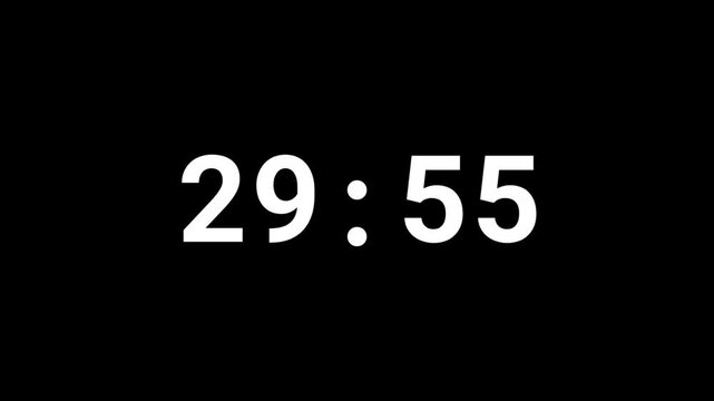 30 Minute to 29 Minute Countdown Timer (Black Background)