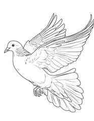 Obraz premium birds coloring page, bird coloring pages, wildlife coloring sheets, tropical bird coloring page, bird coloring book, animal coloring page, animals coloring book