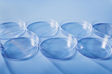 Clear glass petri dishes on blue background symbolizing science and development