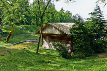 Fototapeta premium Cabin shed log countryside forest trees surrounded by green grass and bushes, rustic wooden building under canopy with dappled sunlight, pathway and tranquil rural nature scene