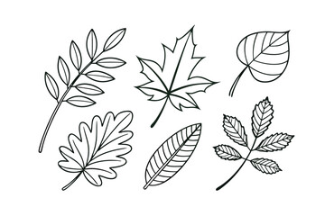 Fototapeta premium Hand drawn green leaves set isolated on white background illustration