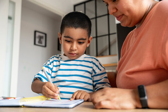 Mother and son learning together at home