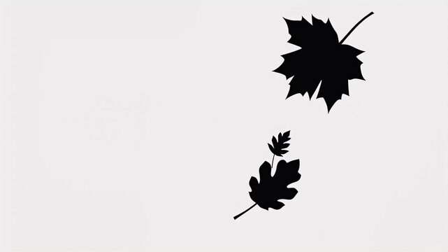 Minimalist illustration with black leaf silhouettes on a clean white background