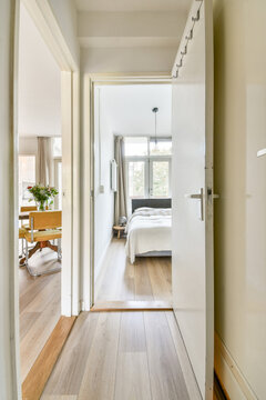 Bright and Spacious Modern Interior