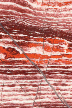 Snakeskin jasper patterns, close up