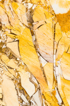 Macro photo of polished Mookaite jasper slab