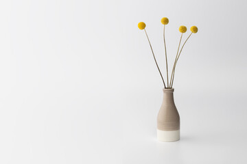 Simple vase with yellow flowers placed on a plain background in a contemporary setting