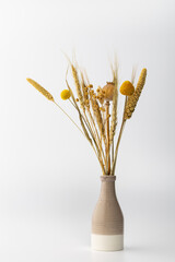 Dried flowers and grasses arranged in a simple vase placed against a plain white background