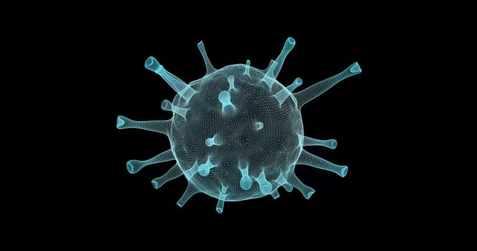 Seamless animation demonstrates the rotation of a three-dimensional model of the virus in the style of an abstract X-ray image the mesh structure emphasizes the morphology of the pathogen in minimalis