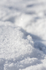 Fluffy white snow on a winter day