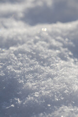 Fluffy white snow on a winter day
