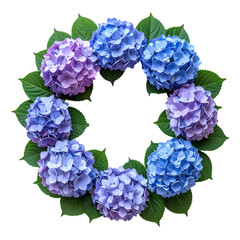 Hydrangea Wreath: A captivating wreath of vibrant hydrangea blooms, showcasing a spectrum of colors from deep blues to soft purples, framed by lush green leaves.