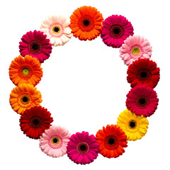 Vibrant Gerbera Daisy Circle: A stunning circular arrangement of colorful gerbera daisies, creating a visually appealing and cheerful display. 