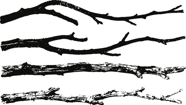 Set of four black and white tree branches with various shapes and textures, natural woody twig illustrations