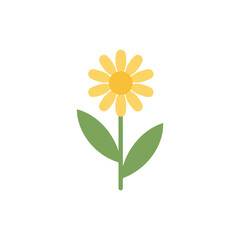 Minimal Flat Vector of Chamomile Flower with Simple Leaves and Yellow Blossom on White Background