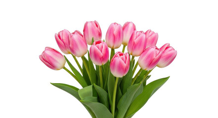A bright bouquet of pink tulips blooming together  isolated on transparent background © ninas art