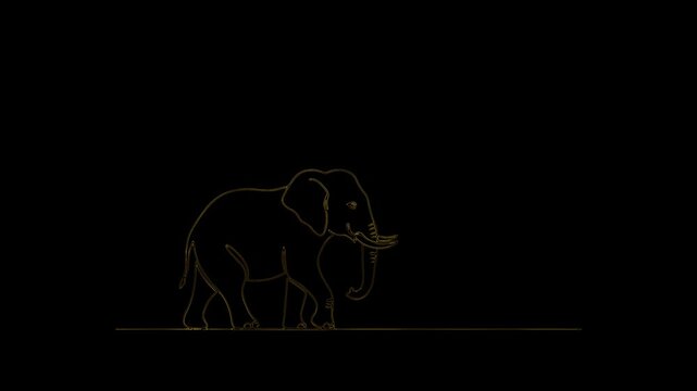 Golden Elephant Line Art Illustration