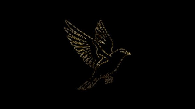 Golden Eagle Line Art Motion