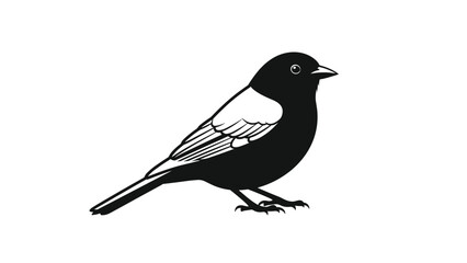 Obraz premium Black and white bird illustration standing on its feet with a sharp beak and detailed feather patterns on its body.
