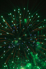Fototapeta premium Fireworks