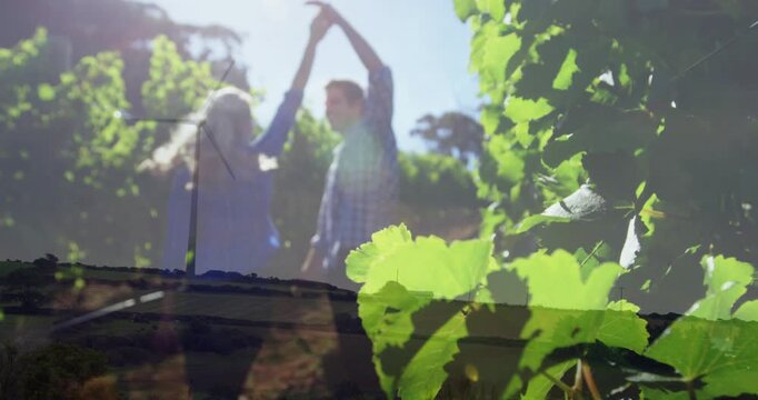 Man raising arm and woman twirling twice along vine row, leaves glinting, ending facing, travel ad