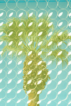 Palm Springs, California.  Double exposure mid century wall pattern with palm tree in the background