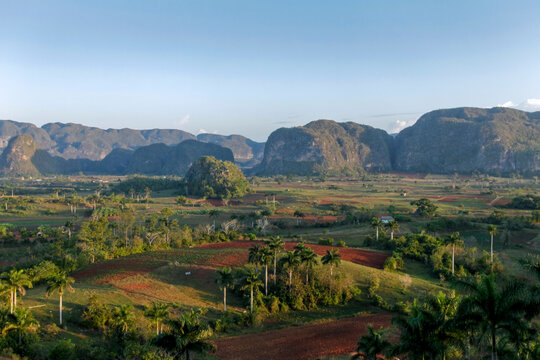 Vinales, Cuba . Tabacco farm and hills of Vinales. 