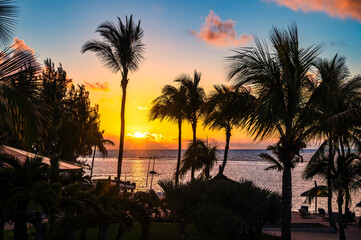 Spectacular tropical sunset with palm tree silhouettes in Mauritius