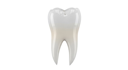 Realistic molar tooth isolated PNG on transparent background, dental anatomy model for educational and medical use