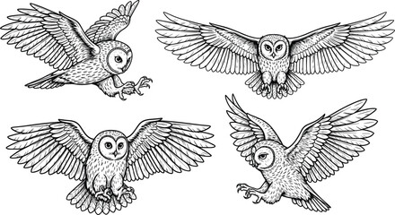 Obraz premium Set of Black and White Vector Illustrations Featuring Detailed Owls Flying with Outspread Wings and Sharp Talons for Wildlife Nature and Nocturnal Designs