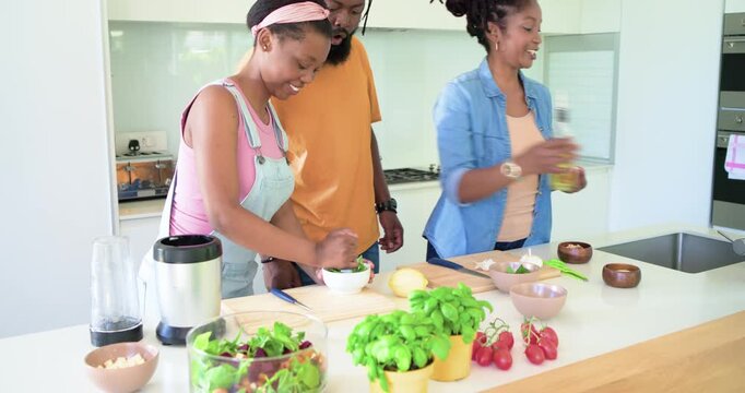 African American family mom pouring oil island teen daughter crushing herbs mortar pestle for salad
