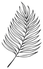 Obraz premium Elegant tropical palm frond illustration with delicate linear details and flowing lines