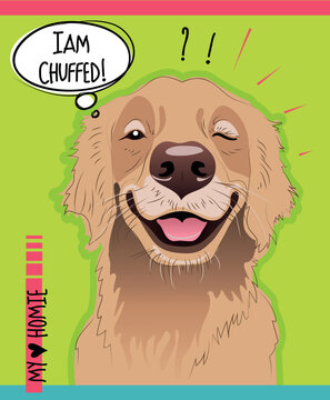 Vector illustration on a light green background featuring a portrait of a funny dog, a Golden Retriever with a delighted expression, a speech bubble reading "I am chuffed!" and "My homie"