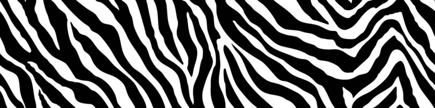 Zebra skin pattern. Seamless zebra texture, vector background