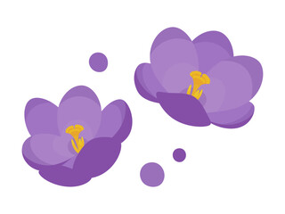 かわいいクロッカスの花のイラスト素材
