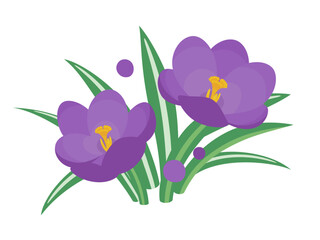 かわいいクロッカスのイラスト素材