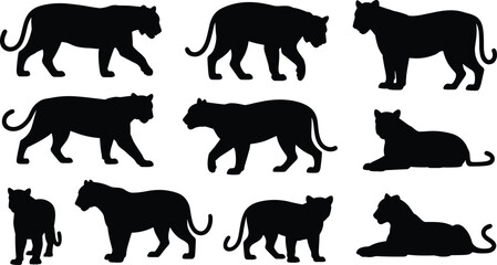 Big cat silhouettes illustration with panther poses, walking, standing, lying down, feline predator artwork, black and white wildlife design concept © Sabina