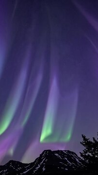 vibrant aurora borealis dancing above mountains sweeping green and purple curtains ripple across starry sky, dark mountain ridgeline and pine silhouettes anchor foreground, crisp cold atmosphere