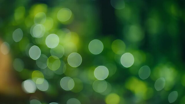 Soft focus green and yellow bokeh circles on blurred natural background