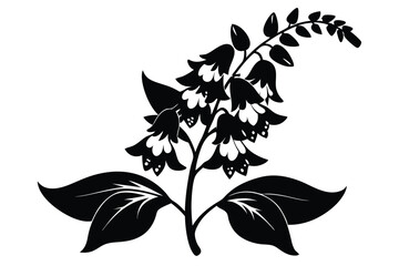 angelonia silhouette line art vector illustration
