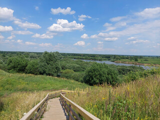 Fototapeta premium Scenic view of a river and green landscape under a blue sky in summer