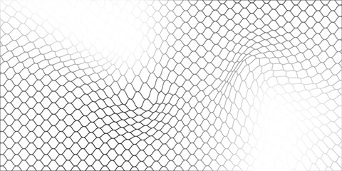 Fishing or soccer net. Repeated hexagon pattern. Black wired mesh texture isolated on white background. vector Eps10. © Amirul