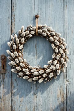 Fresh pussy willow wreath on weathered blue wooden door. Morning light, silver catkins, rustic Scandinavian spring decor.