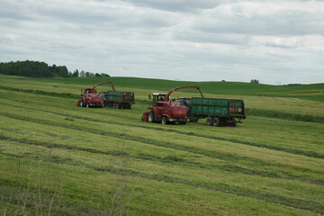 Obraz premium Machines work together to harvest grass in a field on a cloudy day near a rural area in summer