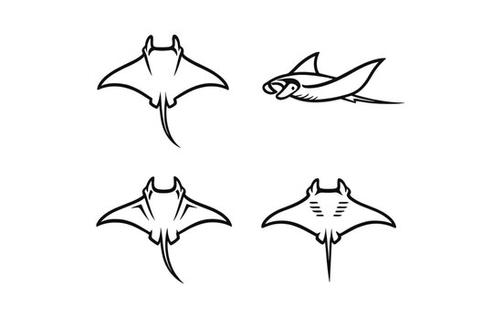 A collection of four minimalist black line art illustrations of manta rays shown from different angles, including top-down and side views, isolated on a plain white background.