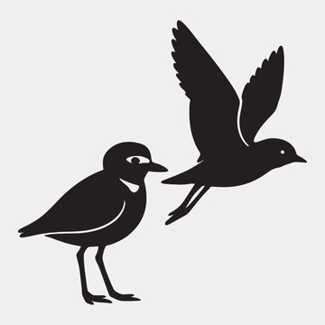 Silhouette of two plovers one standing and other in flight isolated on white background, realistic vector illustration