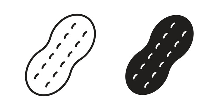 Peanut icon in editable style. Vector icon graphics