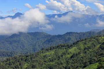 Obraz premium Mashpi Amagusa, natural reserve, Ecuador