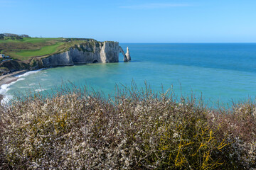 Sunny spring scene at the Etretat cliffs in France, featuring blooming shrubs, white rock arches and clear blue water that highlight the natural beauty of this iconic coastline