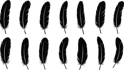 Black bird feather silhouettes set vector illustration of various plumage shapes for graphic design elements tribal art or elegant light decorative nature theme © Creative Minds